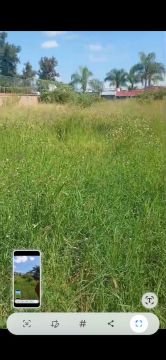 Lawncare
