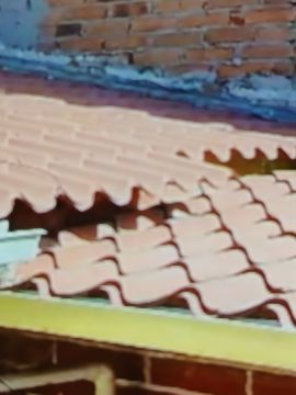 Roof Installation Professional