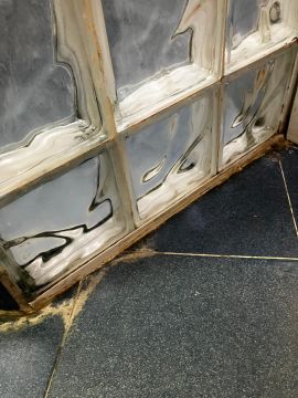 Mold Removal Expert
