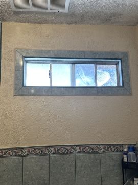 Mold Removal Expert