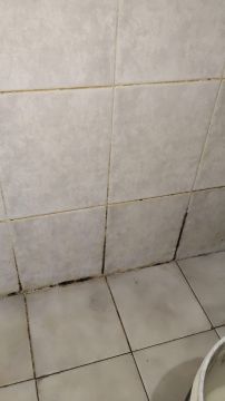 Limpieza - Servicios Domésticos