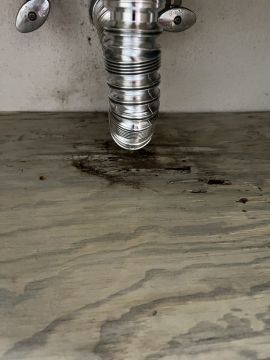 Mold Inspection and Removal