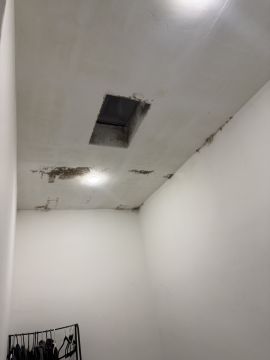 Experto en eliminación de moho