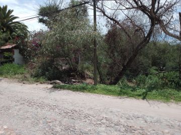 Land Clearance