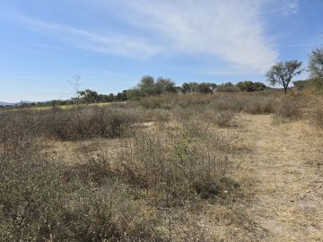 Land Clearance - Lawncare