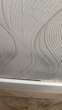 Inspección y eliminación de moho