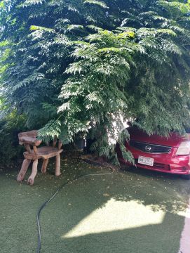 Jardinería - Hogar