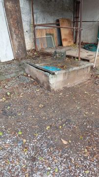 Septic System Professional