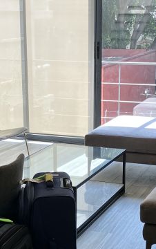 Furniture Mover