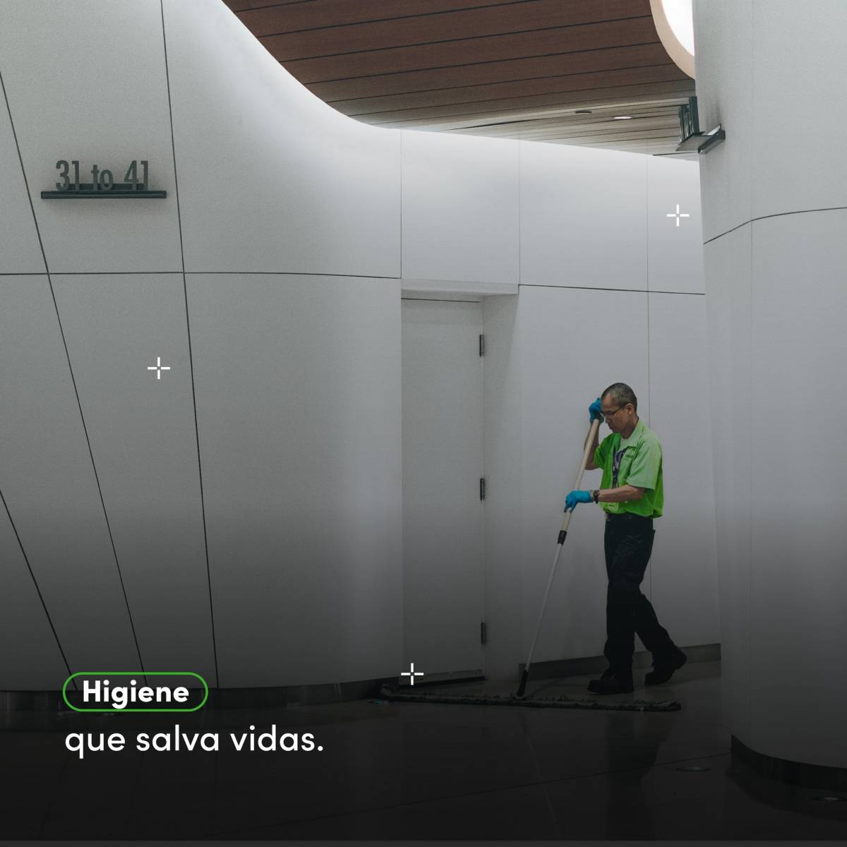 Clean Service Mx - Benito Juárez - Eliminación de arbustos