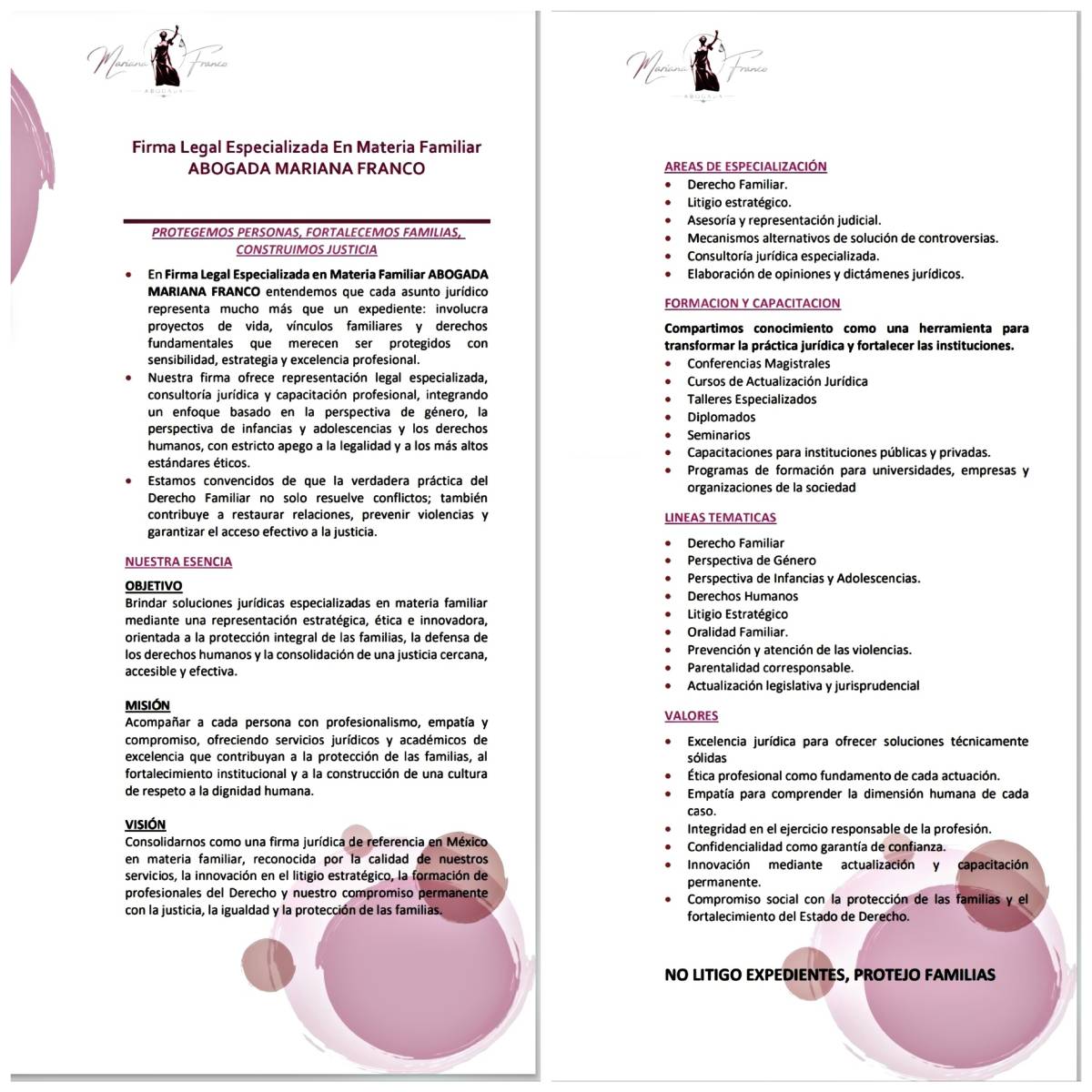 Firma Legal Especializada en Materia Familiar Abogada Mariana Franco - Irapuato - Solicitors