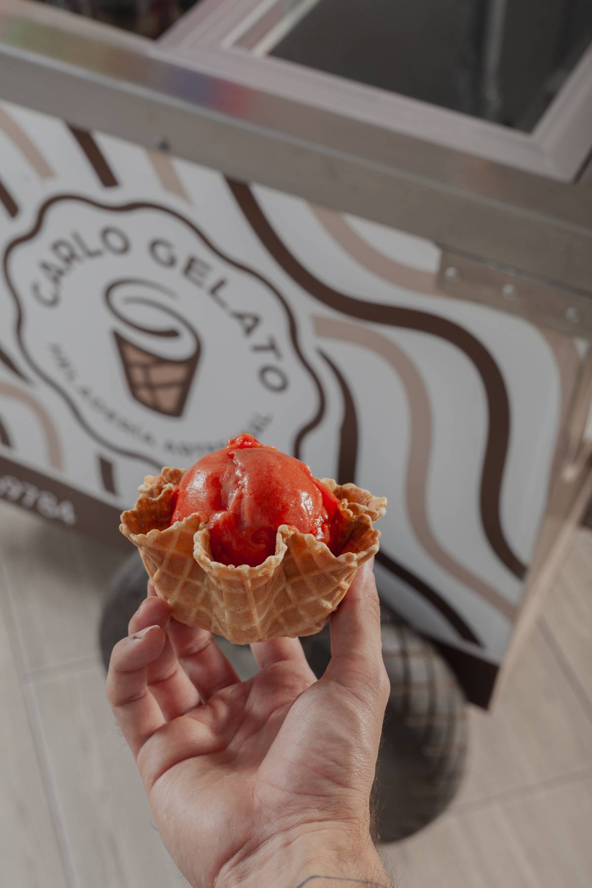 Carlo Gelato - Cuautlancingo - Gastronomía y alquiler de servicios