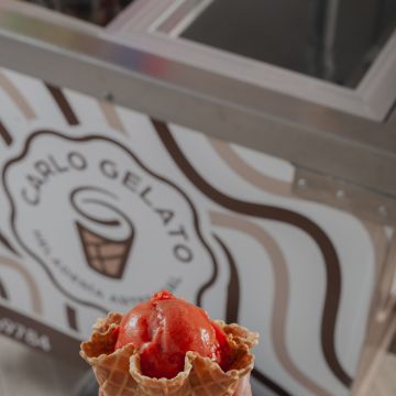 Carlo Gelato - Cuautlancingo - Gastronomy and Service Rentals