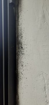 Limpiador para limpieza de apartamentos