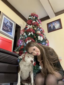 Dog Hotel