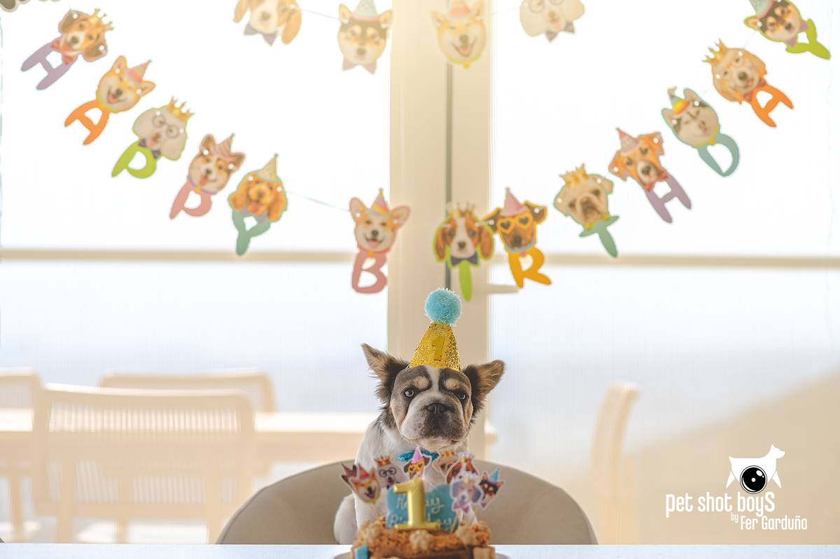 PSBFERPHOTO - El Marqués - Fotografía de mascotas