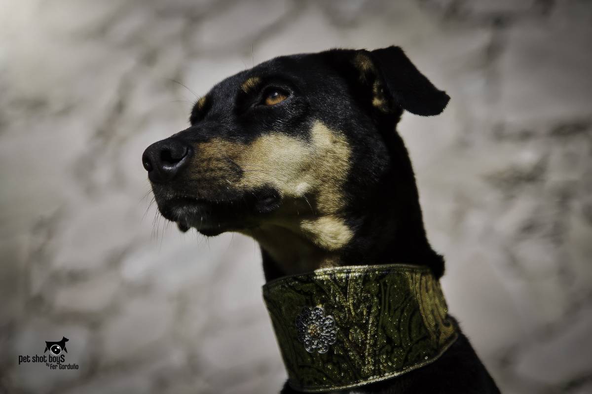 PSBFERPHOTO - El Marqués - Retratos de recién nacidos