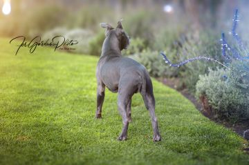 PSBFERPHOTO - El Marqués - Fotografía de boudoir