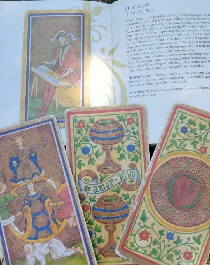 saul - Amozoc - Espectáculo de lector del tarot