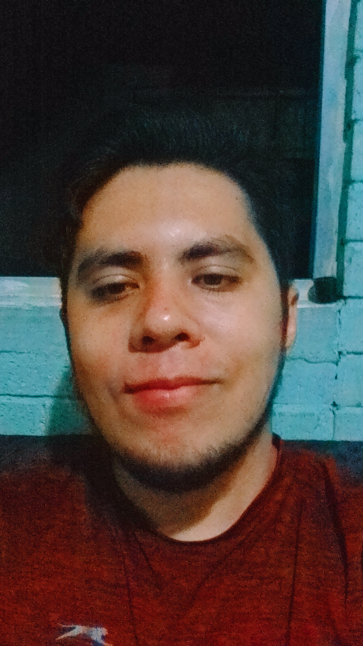 Manuel Sandoval - Valle de Santiago - Cuidado de mascotas