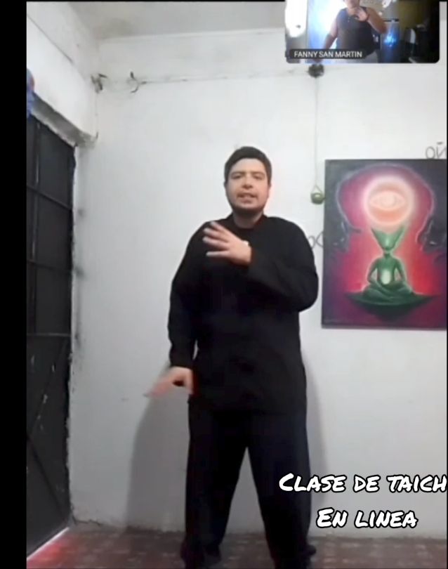Tigre de Agua Taichi - Guadalajara - Entrenamiento en suspensión TRX
