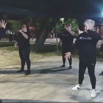 Tigre de Agua Taichi - Guadalajara - Qigong
