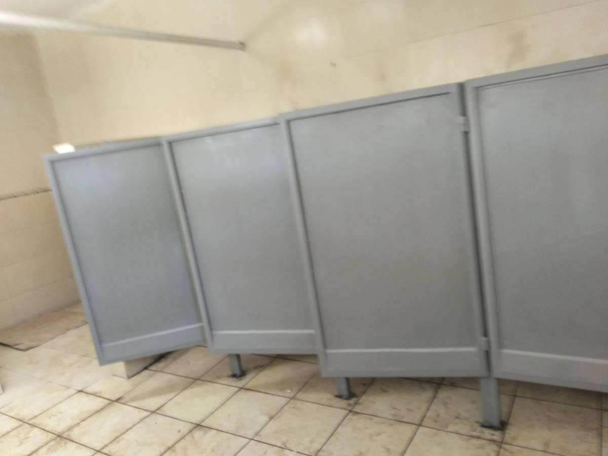 MULTISERVICIOS SANTANA (CHIQUILIN - Cortazar - Septic System Repair or Maintenance