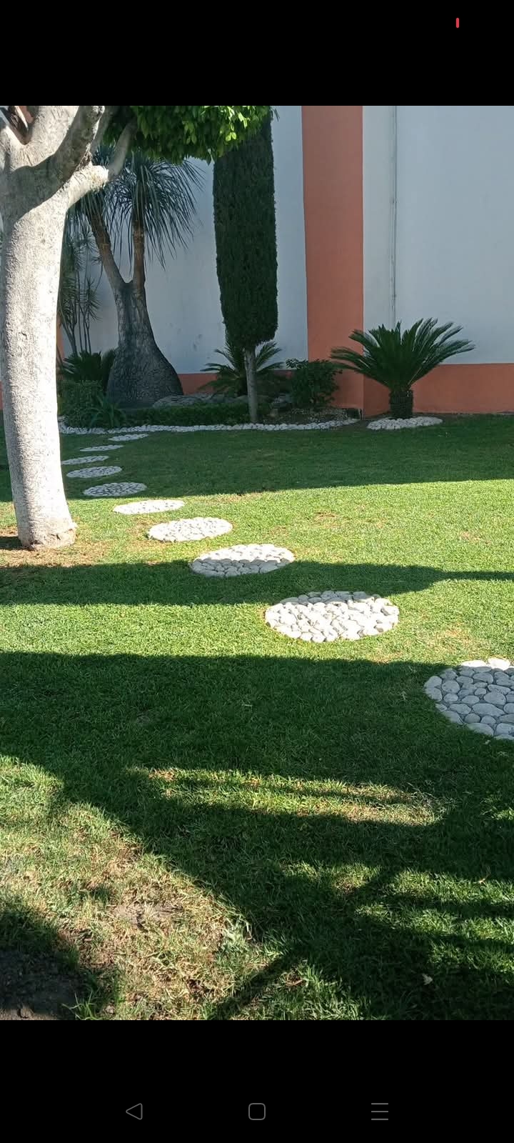 Jardinería Zambrano - Puebla - Phone or Tablet Repair