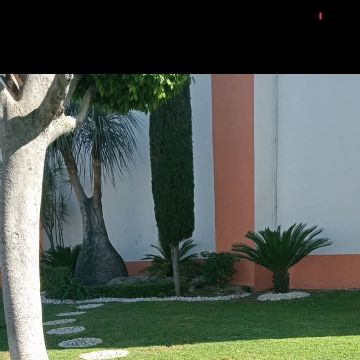Jardinería Zambrano - Puebla - Phone or Tablet Repair