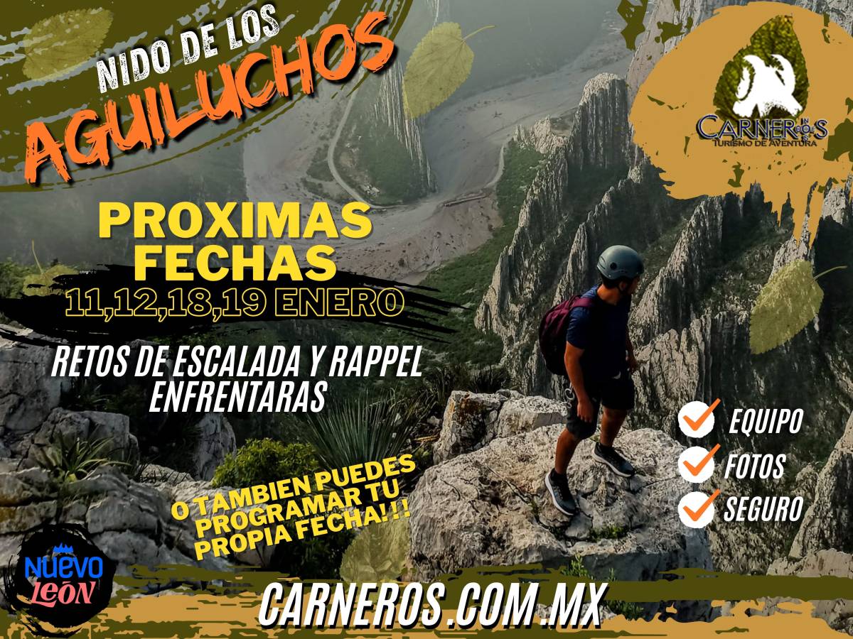 CARNEROS Turismo de Aventura - García - Climbing Lessons