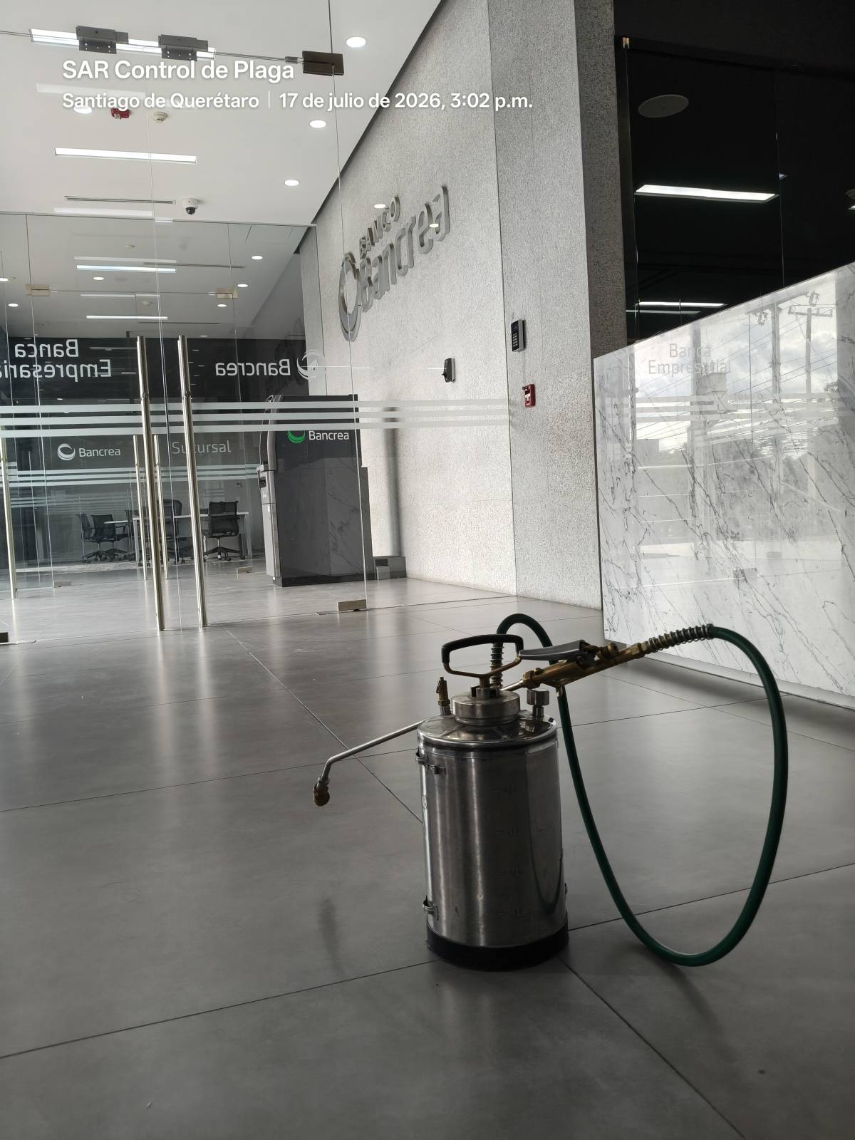 SAR Control de Plagas - Querétaro - Limpieza de oficinas (recurrente)