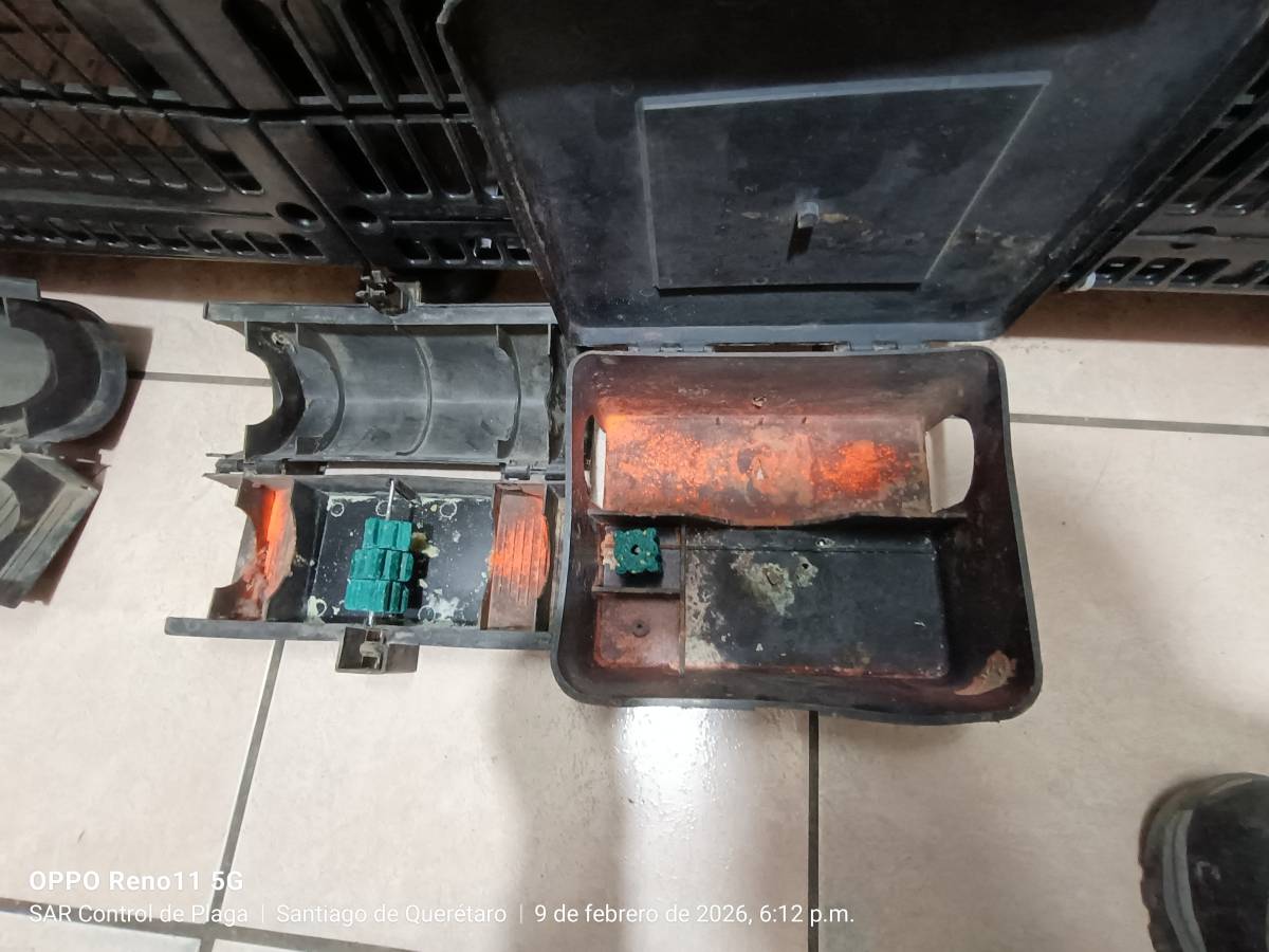 SAR Control de Plagas - Querétaro - Limpieza de moquetas