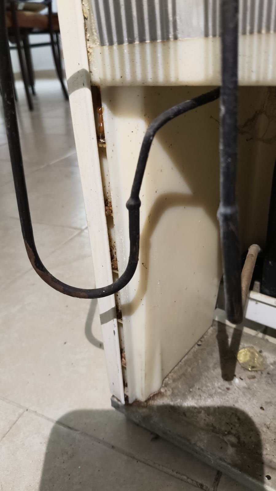 SAR Control de Plagas - Querétaro - Limpieza del hogar (recurrente)