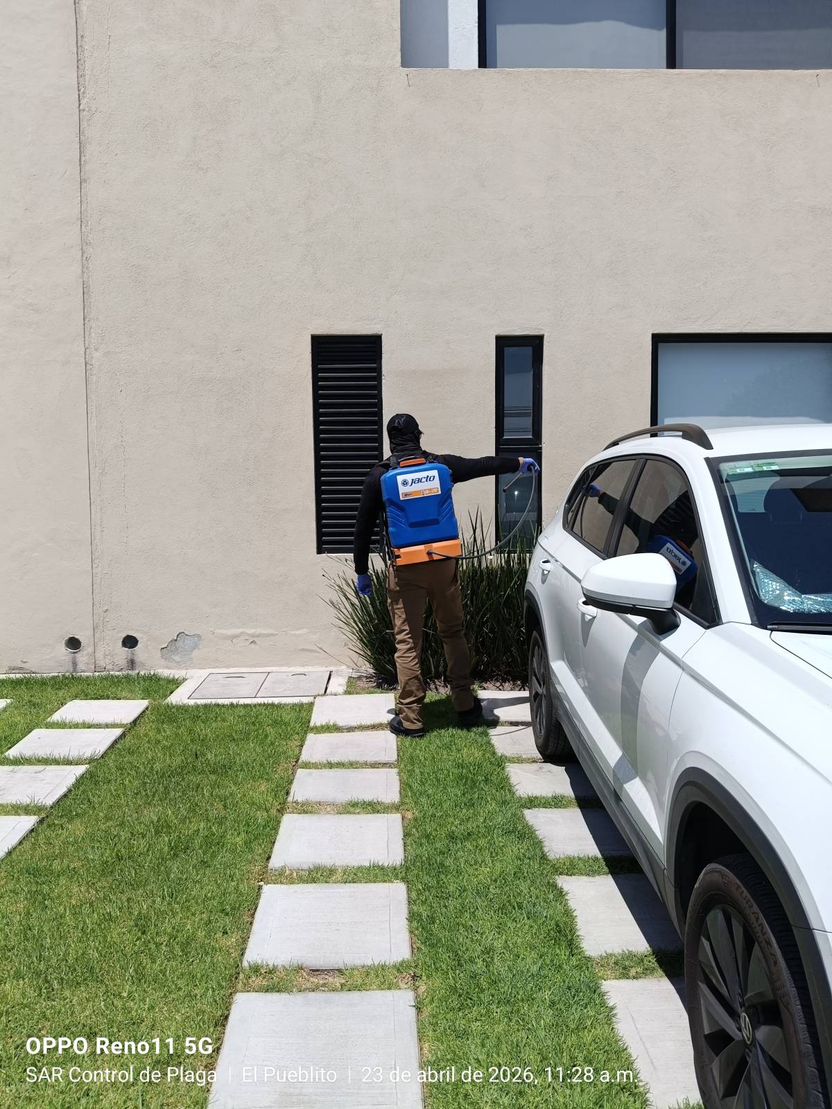 SAR Control de Plagas - Querétaro - Limpieza de cortinas