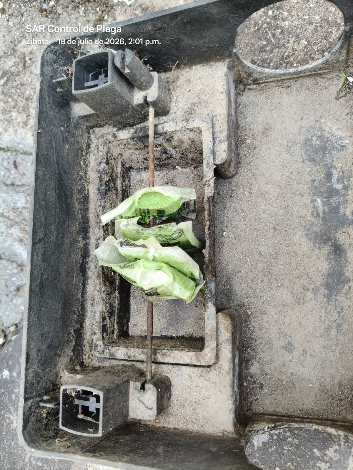 SAR Control de Plagas - Querétaro - Limpieza de tapicerias y muebles