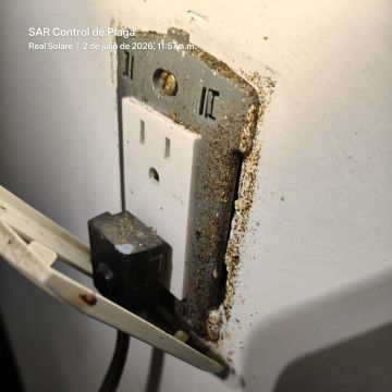 SAR Control de Plagas - Querétaro - Limpieza de persianas