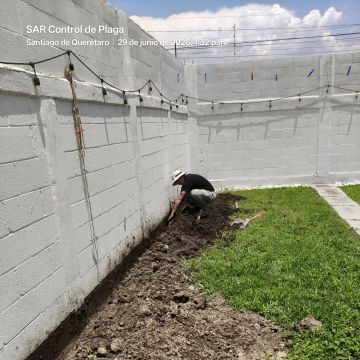 SAR Control de Plagas - Querétaro - Limpieza de garajes