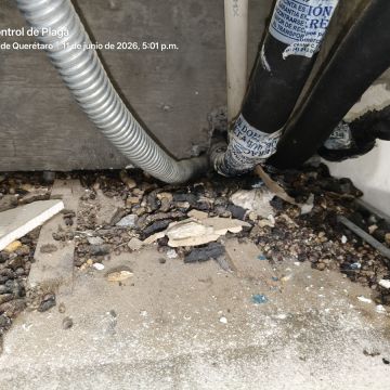 SAR Control de Plagas - Querétaro - Limpieza de apartamentos