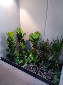 RJC - Naucalpan de Juárez - Plumbing