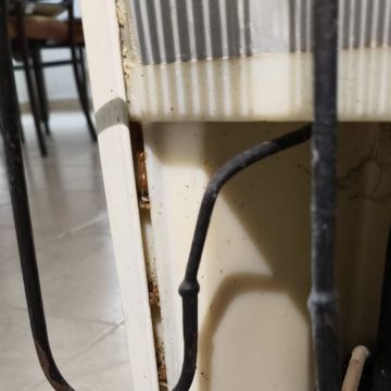 SAR Control de Plagas - Querétaro - Limpieza del hogar (recurrente)