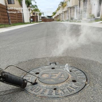 SAR Control de Plagas - Querétaro - Limpieza de moquetas