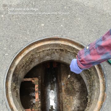 SAR Control de Plagas - Querétaro - Empresas de exterminación de plagas