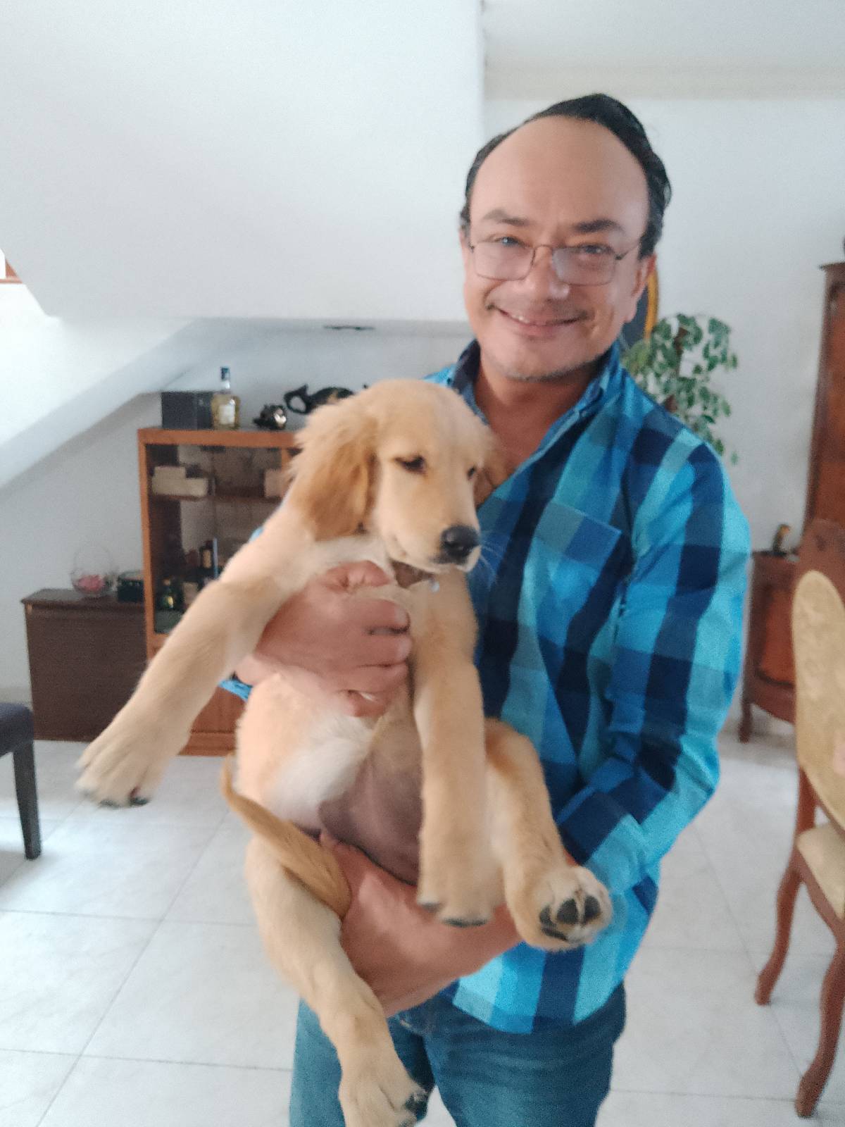 Doggy Care - Zapopan - Dog Training - Private Lessons