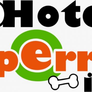 Hotel Perritos Inn - Atlixco - Dog Walking