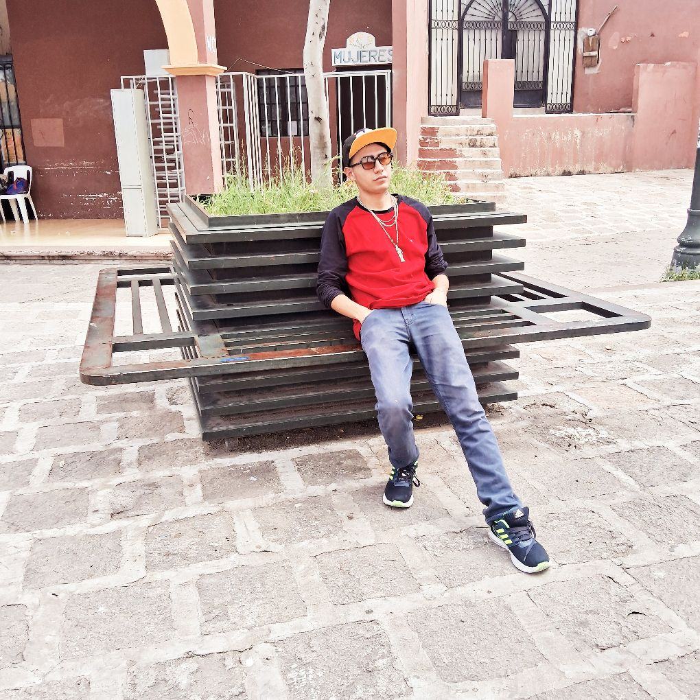 Mystipets - San Miguel de Allende - Paseador de perros
