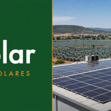 dipsolar - Ameca - Consultoría en Sostenibilidad