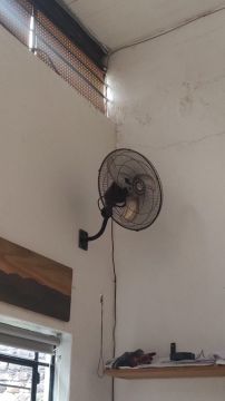 Fan Repairman