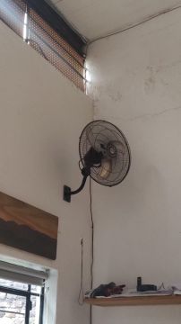 Servicio técnico de reparación de ventiladores