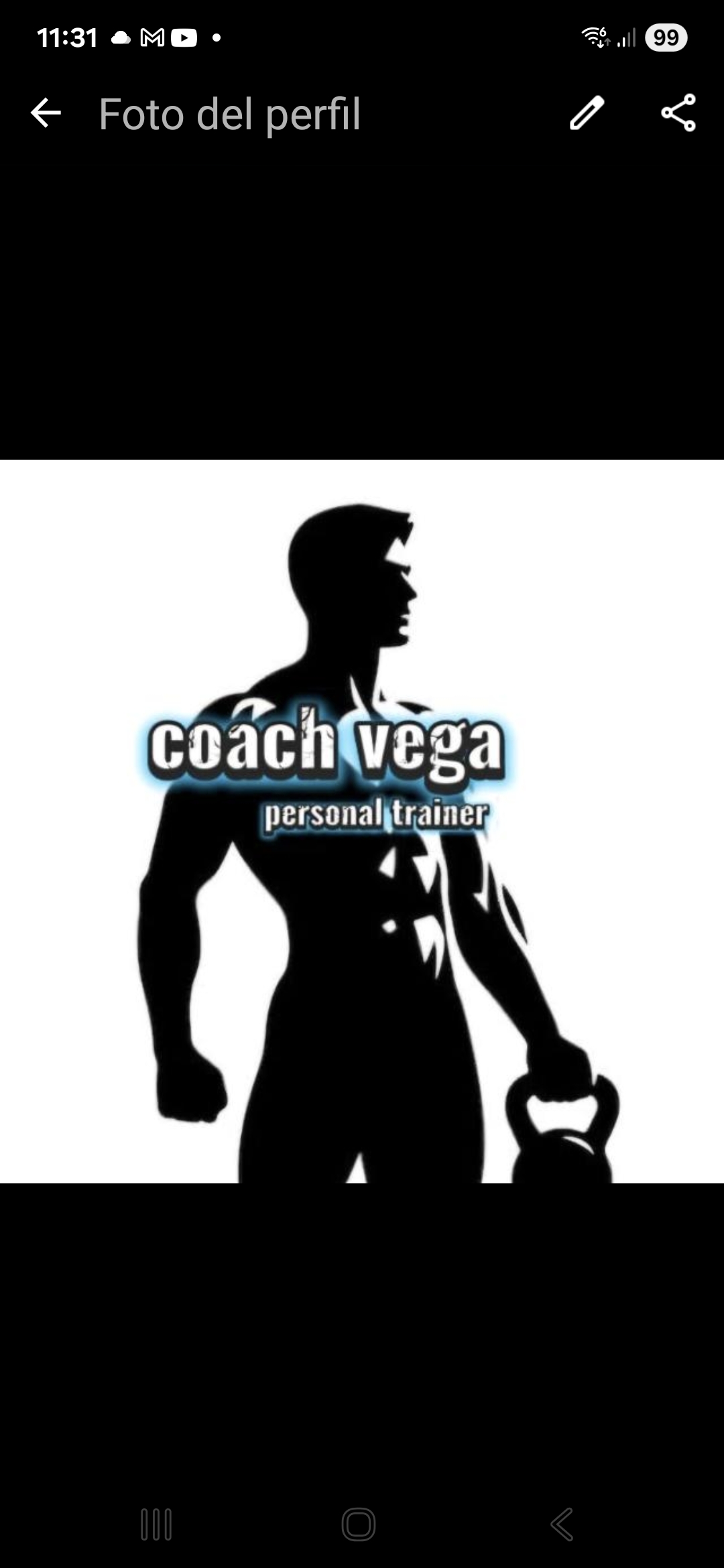 COACH VEGA personal trainer - Querétaro - Entrenamiento personal de Fitness (para mi grupo)