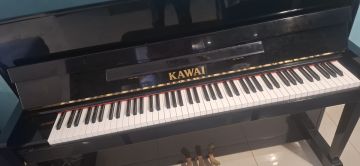 Piano Tuner